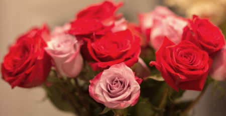 October 7  ...and other roses, too.  Wonderful reminders around the house of a beautiful first year.