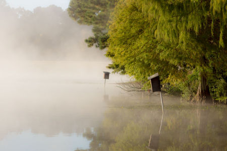 November 1   The sunrise color spread through the fog drew me to the lake's edge. Everywhere I looked were reminders of this beautiful place as a location to pause, reflect and appreciate a beauty-full life.