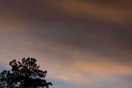 November 10  Waning dusk light paints a lovely artpiece against a blue canvas.  Beautiful.